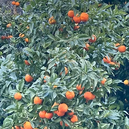 Ca' Di Giupa Finalborgo Outdoor フィナーレ・リーグレ